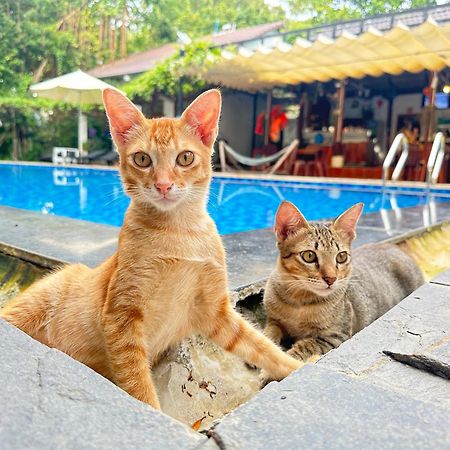 Have Fun Phu Quoc Villa Eksteriør billede