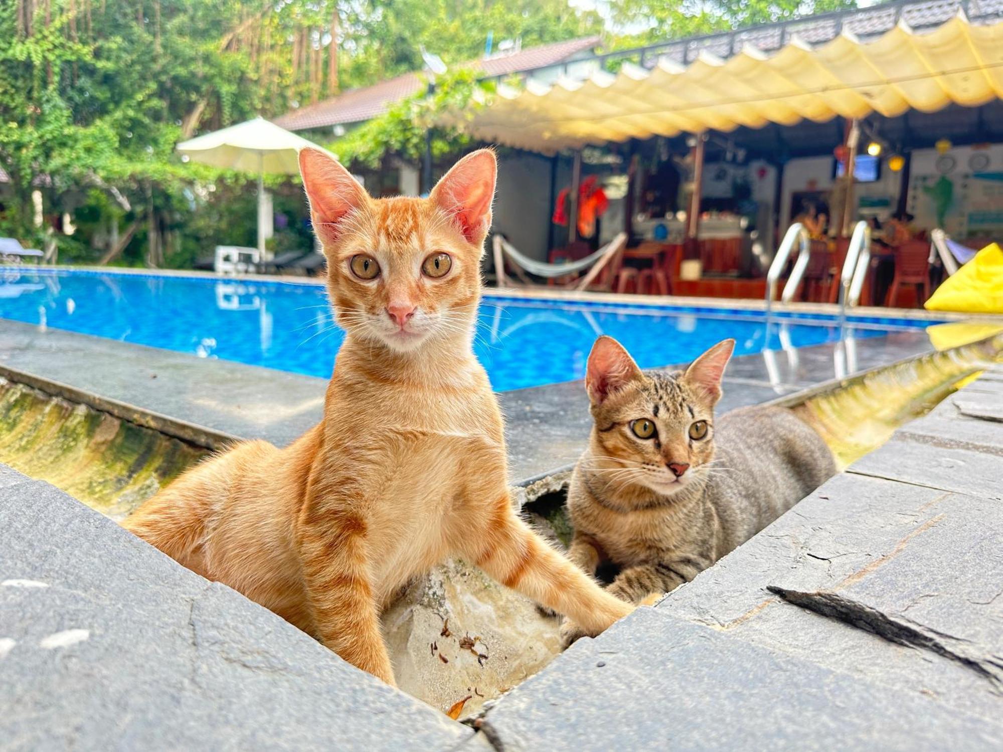 Have Fun Phu Quoc Villa Eksteriør billede